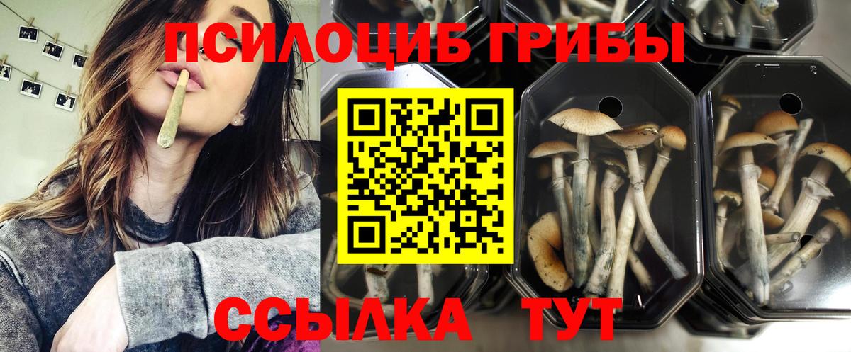 Псилоцибиновые грибы ЛСД Нижний Новгород